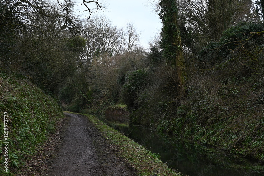 a view of the grand western canal near Tiverton from the tow path a view of the grand western canal near Tiverton from the tow path