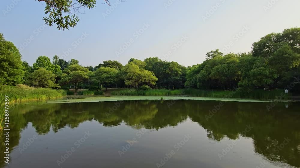 Seoul, South Korea - 3 Jun 2024 : Seoul Forest Urban Oasis: Embracing Scenic Nature Unleashed Seoul, South Korea - 3 Jun 2024 : Seoul Forest Urban Oasis: Embracing Scenic Nature Unleashed