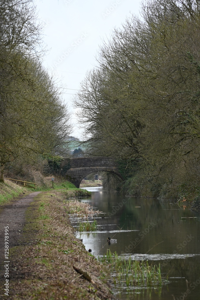 a view of the grand western canal near Tiverton from the tow path a view of the grand western canal near Tiverton from the tow path