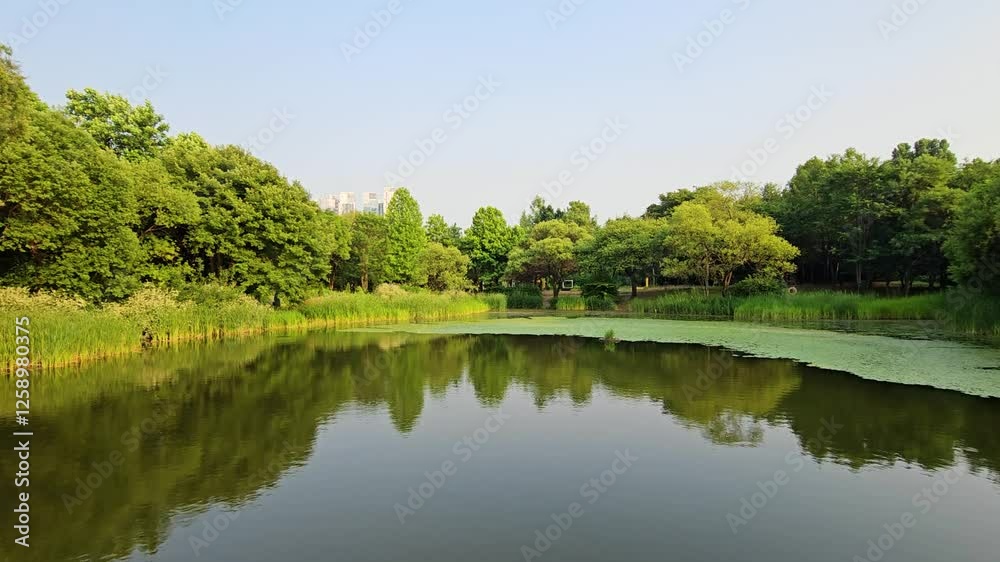 Seoul, South Korea - 3 Jun 2024 : Seoul Forest Urban Oasis: Embracing Scenic Nature Unleashed Seoul, South Korea - 3 Jun 2024 : Seoul Forest Urban Oasis: Embracing Scenic Nature Unleashed