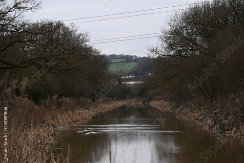 a view of the grand western canal near Tiverton from the tow path