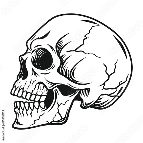 Human skull vector illustration black and white, tatto design concept, detailed vector design isolated on a white background