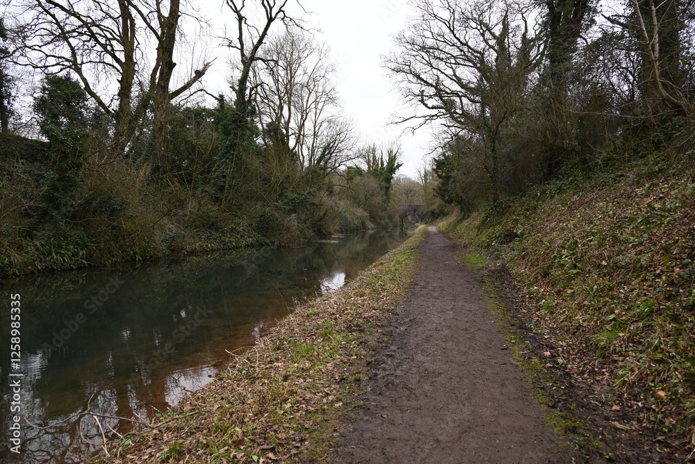 a view of the grand western canal near Tiverton from the tow path a view of the grand western canal near Tiverton from the tow path