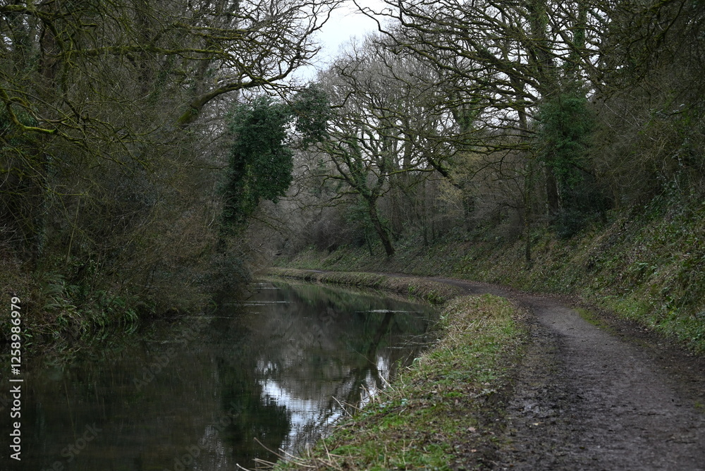 a view of the grand western canal near Tiverton from the tow path a view of the grand western canal near Tiverton from the tow path