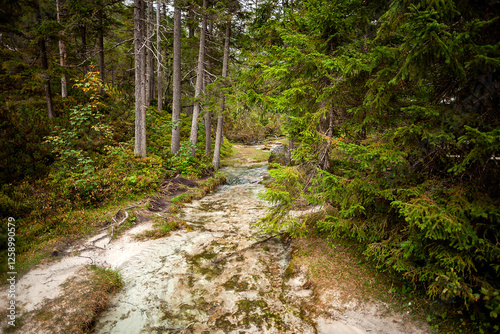 Landscape of Isar river origin, Scharnitz, Austria photo