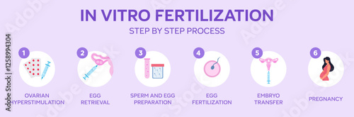 In Vitro Fertilization Step by Step Process Infographic on Purple Background