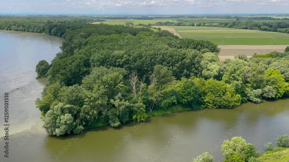 A serene view of a river surrounded by lush green forests and distant hills under a bright blue sky with fluffy clouds, capturing the peacefulness of nature on a sunny day. A serene view of a river surrounded by lush green forests and distant hills under a bright blue sky with fluffy clouds, capturing the peacefulness of nature on a sunny day.