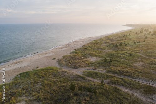 Serene coastal landscape: sandy beach, dunes, lush greenery, and calm sea stretching to the horizon under a soft, hazy sky.