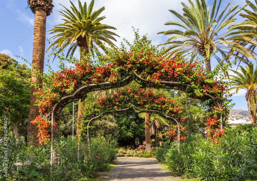 Garcia Sanabria Park in Santa Cruz de Tenerife, Spain