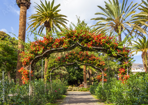 Obraz na płótnie Garcia Sanabria Park in Santa Cruz de Tenerife, Spain w salonie