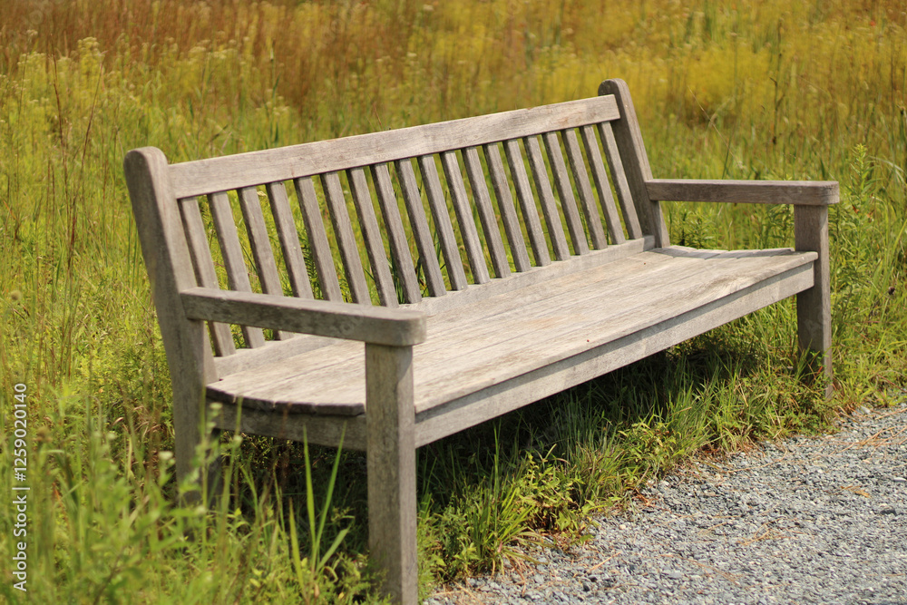 bench in the park bench in the park
