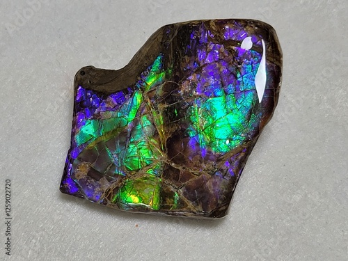 Ammolite freeform  photo