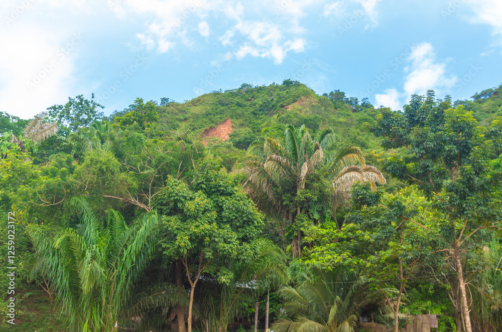 Paysages de la ville de Rurrenabaque dans la forêt amazonienne dans le parc national du Madidi en Bolivie
