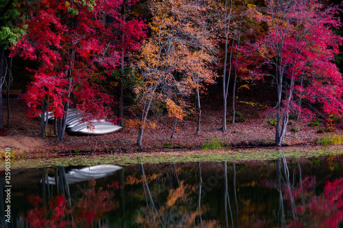 autumn landscape with lake