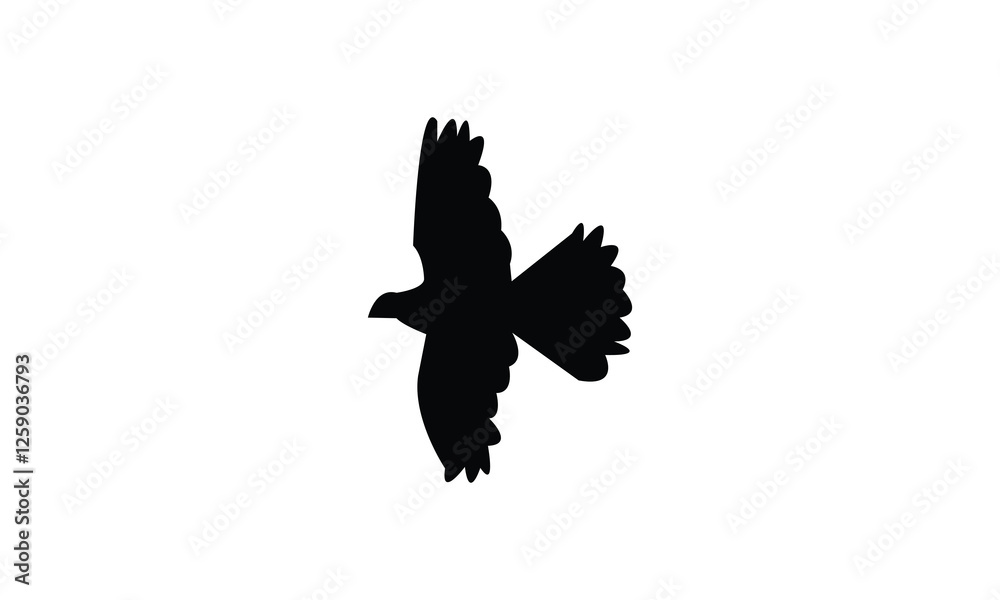 Fototapeta premium Flying African collared dove bird Silhouette Design And Vector Illustration. 
