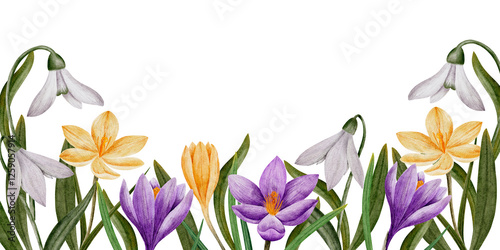 Wallpaper Mural Hand drawn crocus and snowdrop flowers, primroses watercolor illustration, isolated on white. botanical frame with space for text. Template for cards, logos, prints, wedding design Torontodigital.ca
