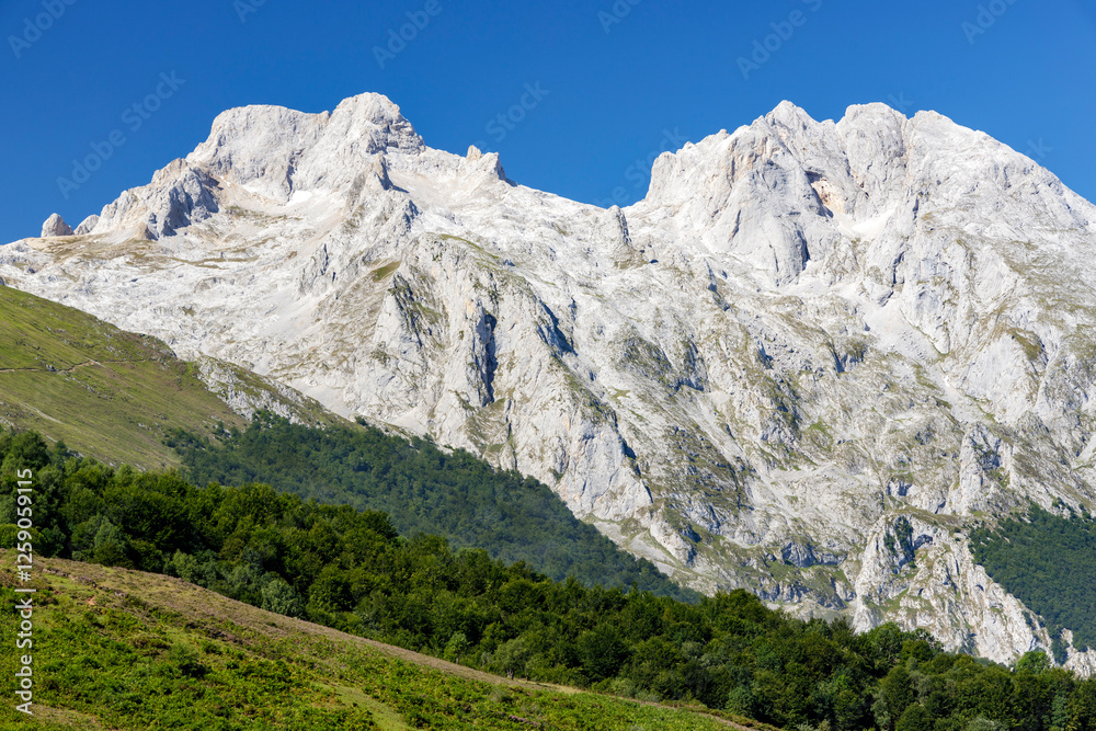 Natural Park of Picos de Europa