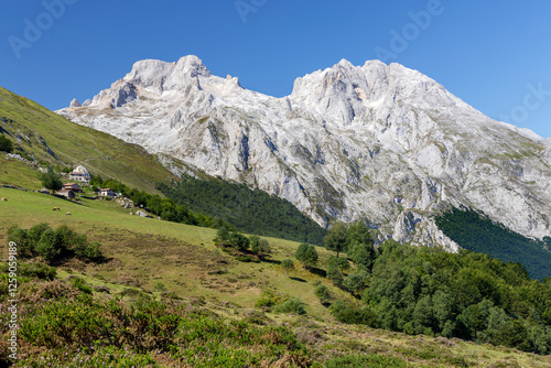 Obraz na płótnie Natural Park of Picos de Europa w salonie