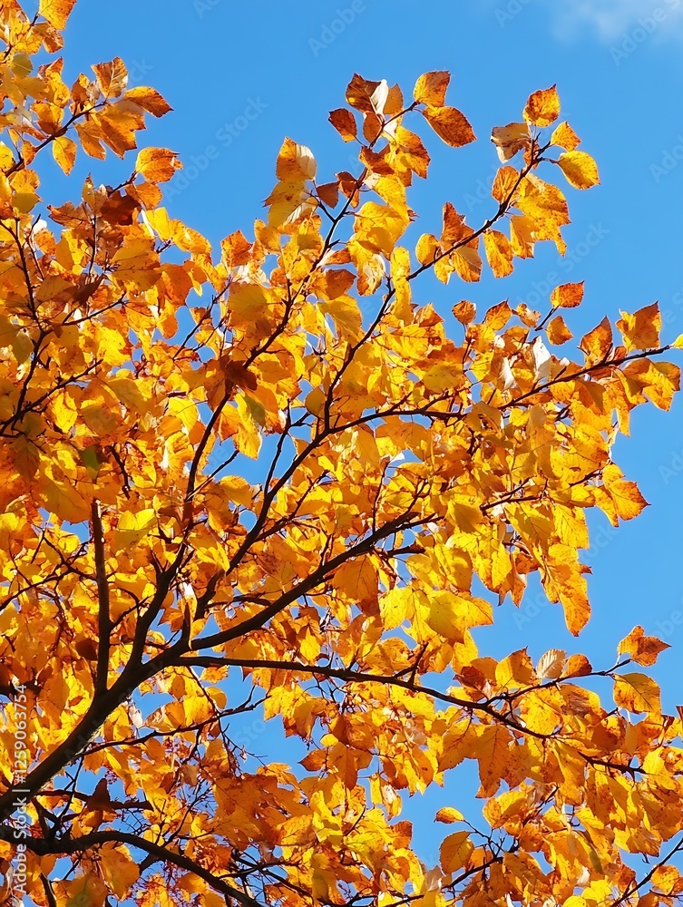 Vibrant Autumn Leaves Against a Clear Blue Sky Creating a Stunning Nature Scene : Generative AI