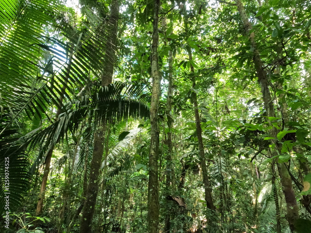 Fototapeta premium DCIM\100GOPRO\GOPR0330.JPG