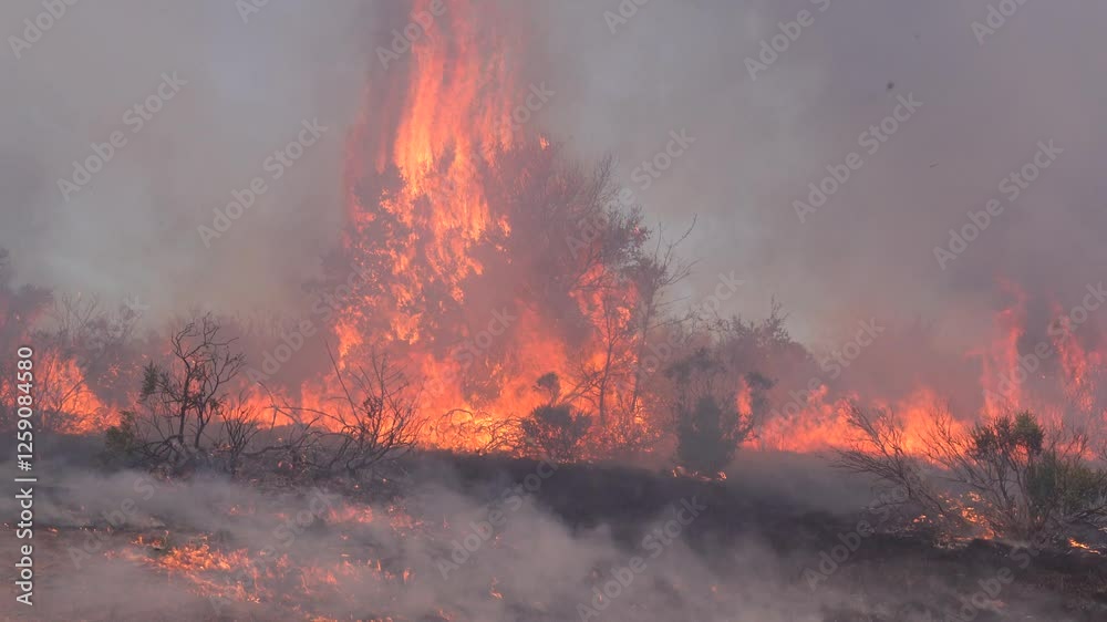 Wildfire in brush and grass with smoke Wildfire in brush and grass with smoke