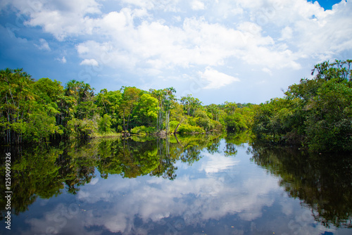 Calm Arapiuns River reflecting the lush green Amazon rainforest under cloudy sky.