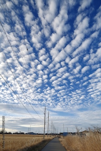 Picturesque Sky with Fluffy White Clouds and Power Lines on a Clear Day : Generative AI photo