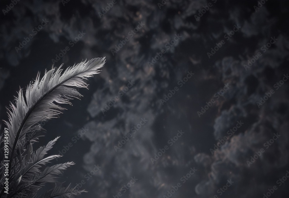 Obraz premium Delicate feathered outline against dark sky background, nature, bird silhouetted, birds