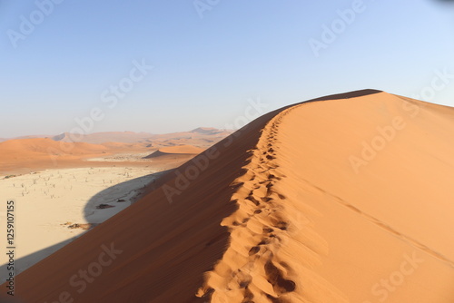 Fototapeta Naklejka Na Ścianę i Meble -  sand dunes in death valley