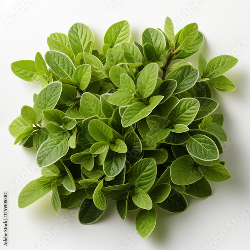 Perfect food images for supermarket catalogs promotional brochures or price tags