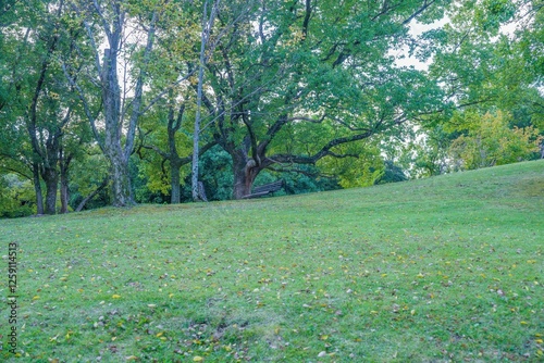 静寂に包まれた秋のベンチのある公園の情景 photo