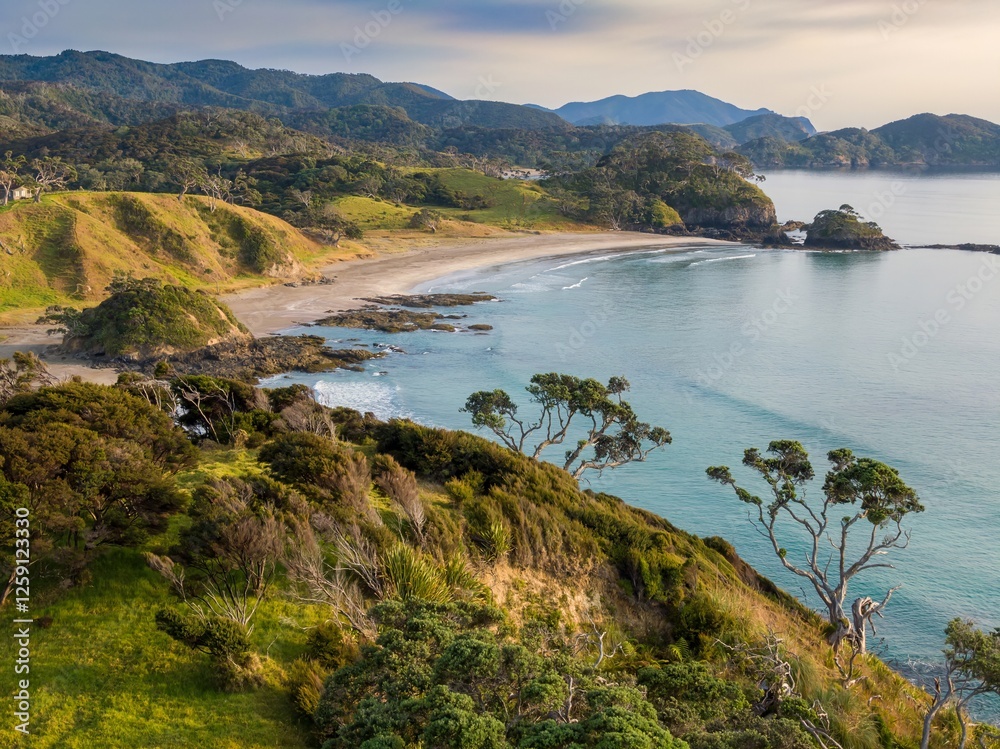 Naklejka premium Coastal New Zealand landscape. Gentle waves lap a sandy beach, framed by lush greenery and hills. Tranquil scene. Elliot Bay, Rawhiti, Northland, New Zealand