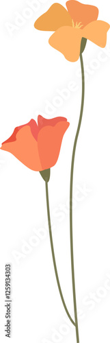 Poppy Flower On Stem