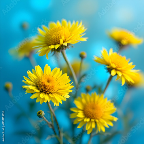 Vibrant Yellow Flowers Blooming Against a Soft Blue Background in a Serene Natural Setting