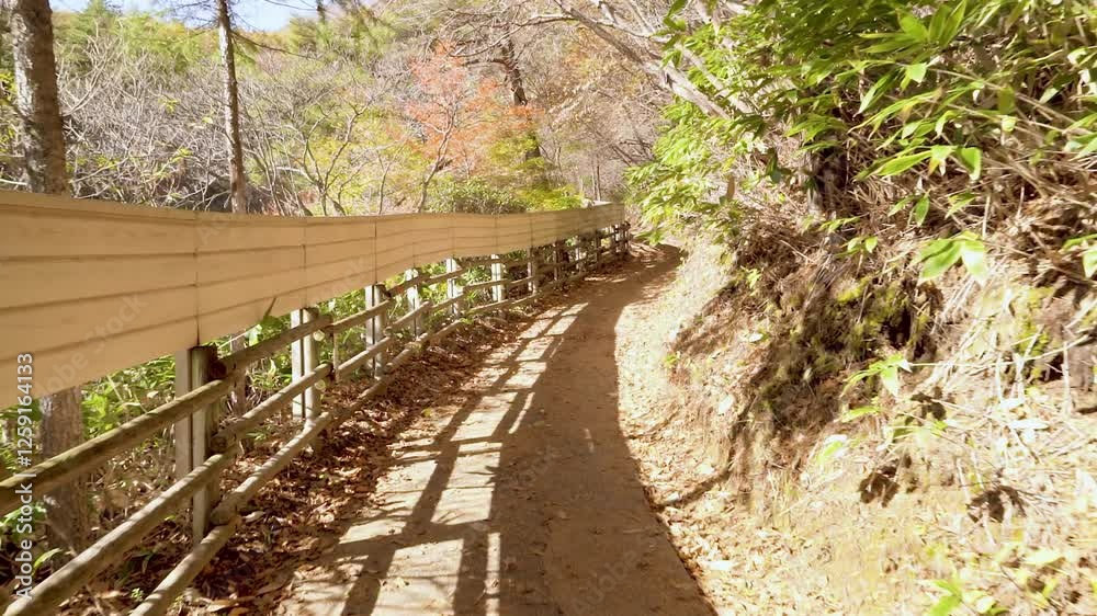 群馬県草津町　朝の西の河原公園の風景