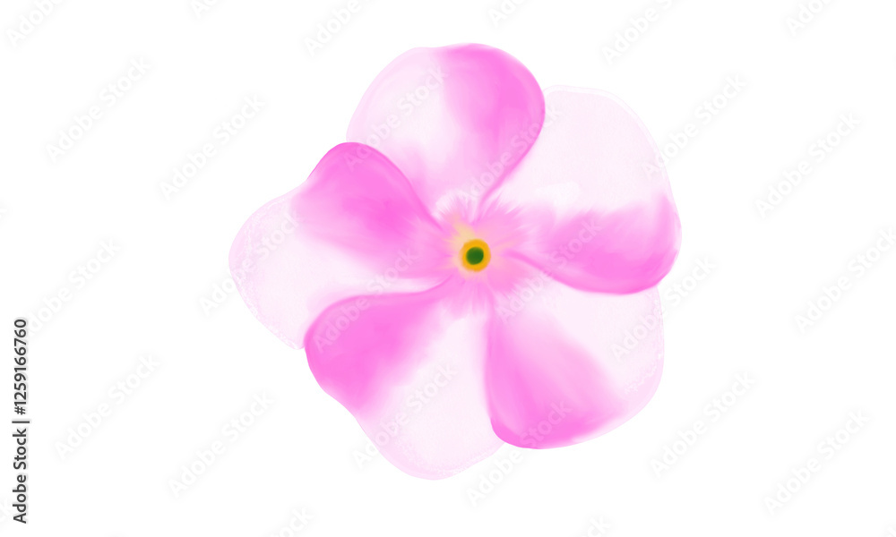 Fototapeta premium pink flower isolated on white