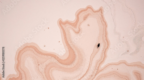 Nature´s abstract patterns from above