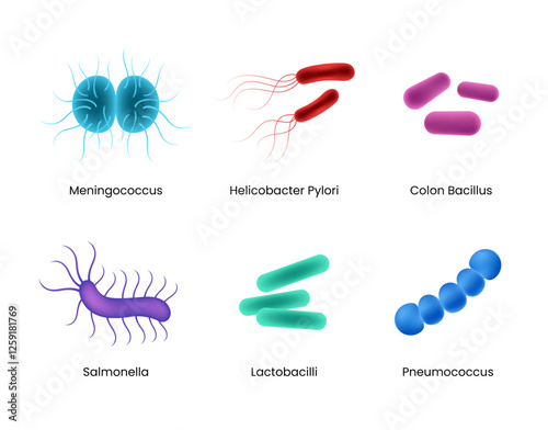 Types of Bacteria Differences