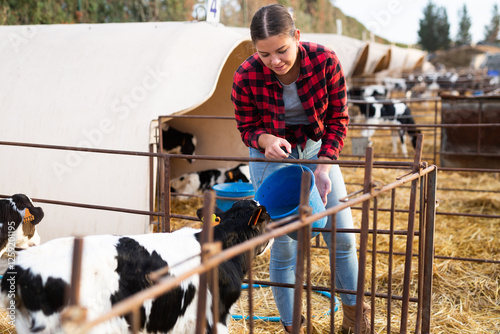 Slika na platnu Positive young woman farmer petting and feeding calves during the day on ranch