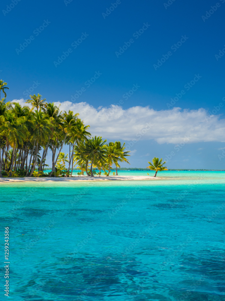 Obraz premium Bora Bora beach