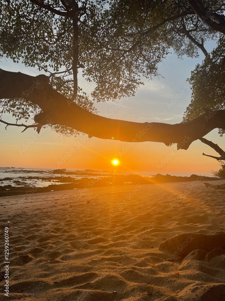 sunset on the beach