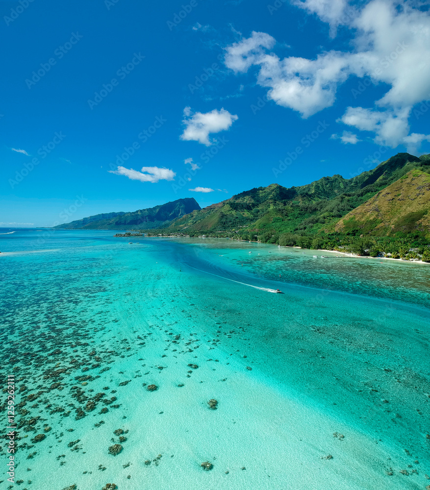 Obraz premium Beautiful blue waters of Moorea