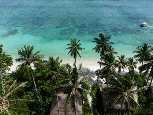 Fototapeta Naklejka Na Ścianę i Meble -  Tall palm trees sway over a sandy beach with turquoise water and coral reef. Koh Tao, Thailand.