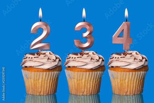 Birthday Cupcakes With Candles Lit Forming The Number 234.
