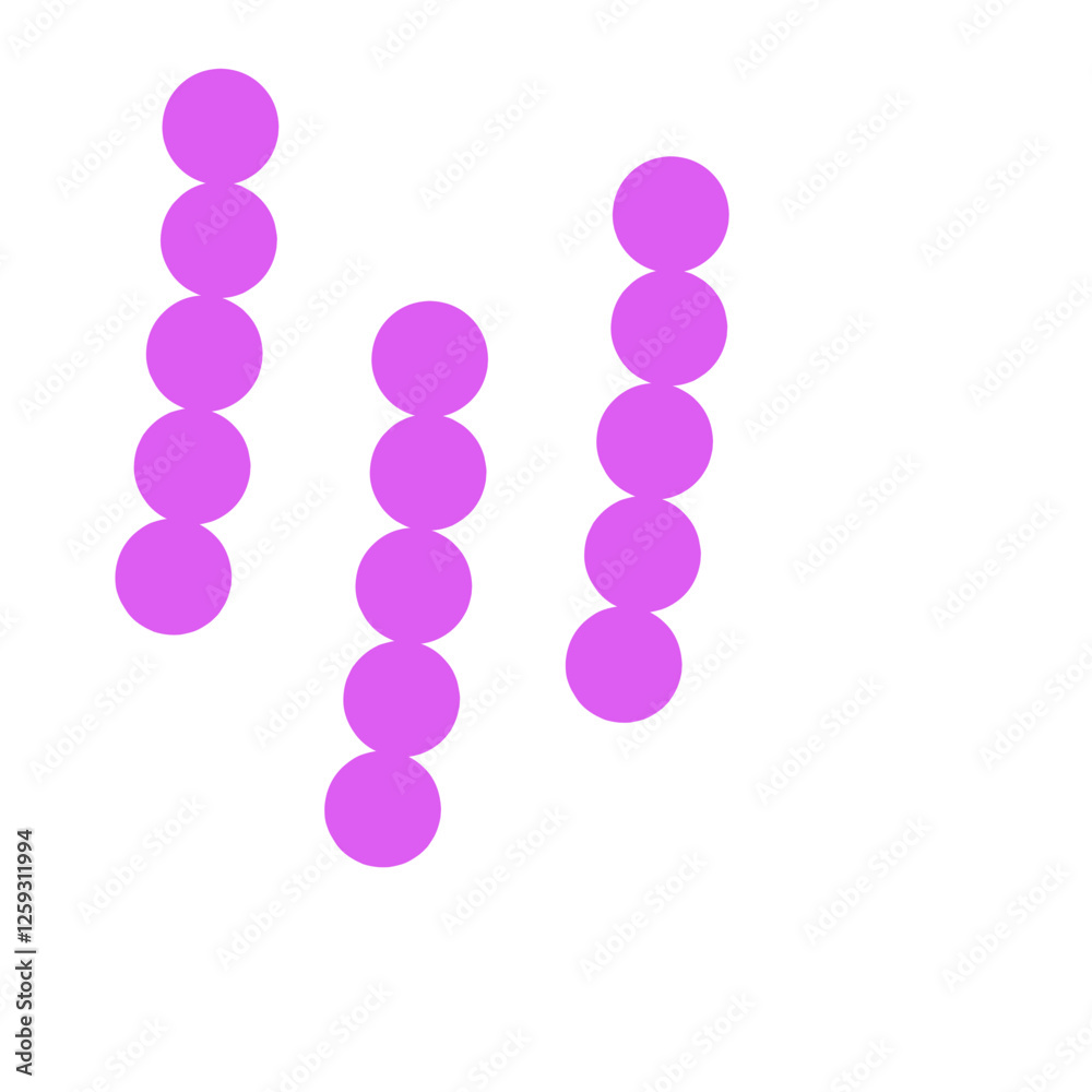 streptococcus pneumoniae bacteria flat style streptococcus pneumoniae bacteria flat style