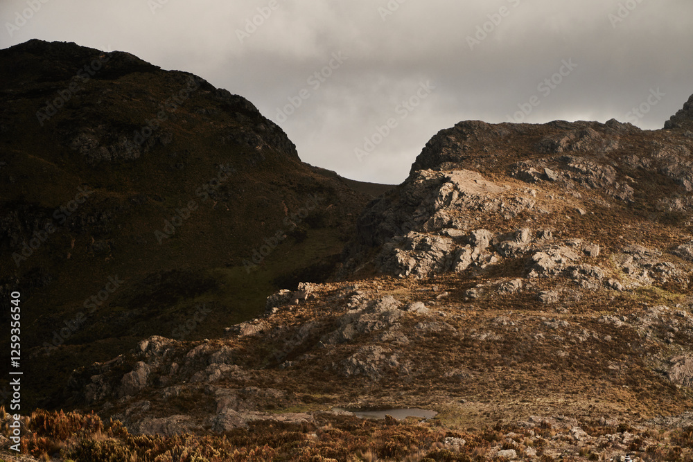 mountain landscape in the morning mountain landscape in the morning