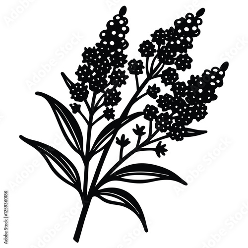 Elegant Black and White Silhouette of a Flowering Plant