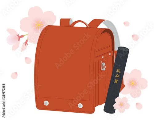 赤いランドセルと卒業証書・丸筒／桜の花びら／卒業式／ベクターイラスト