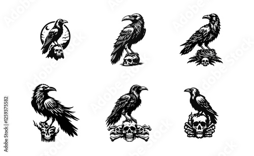 Raven skull silhouette black icon on white background