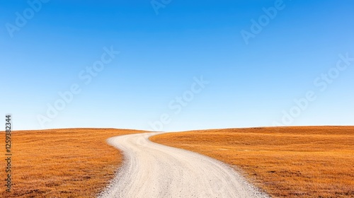 Serene winding dirt road through golden grassland under a clear blue sky, ideal for travel photography